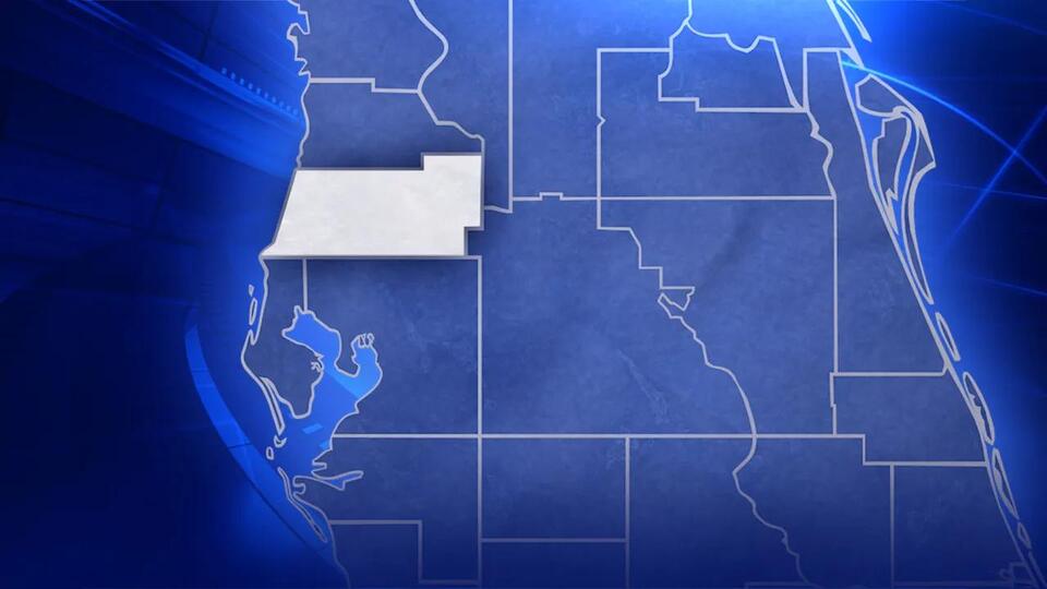 Spring Hill man dies after car crash in New Port Richey: FHP - NewsBreak