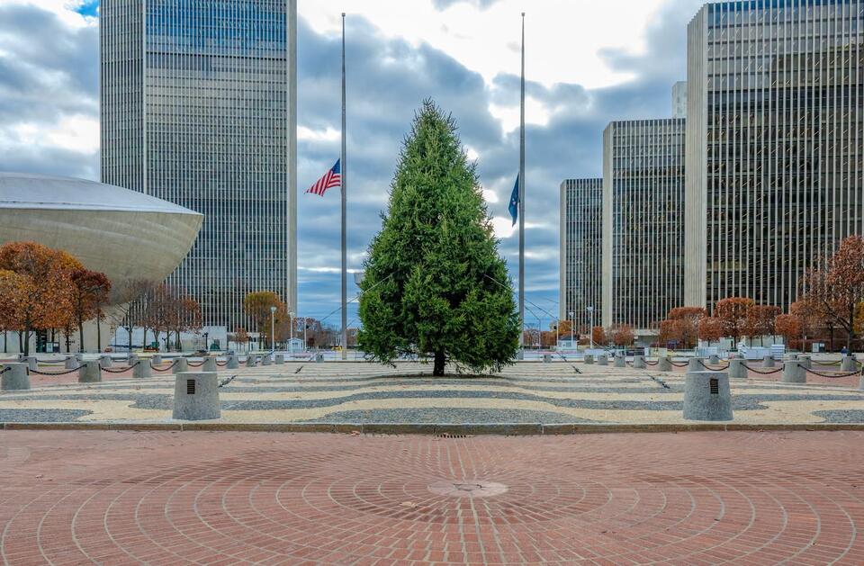 State seeks donated spruce tree for Plaza display - NewsBreak