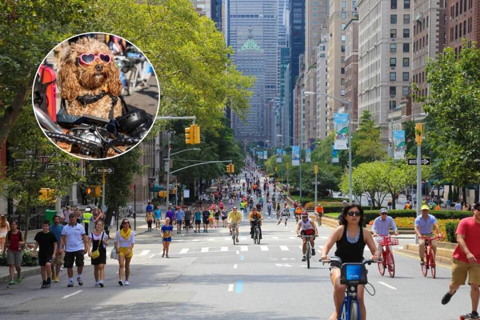 NYC is shutting down more than 20 miles of streets to cars for ‘New York's biggest block party' this summer–with Citi Bike discounts, live entertainment, & free community programming