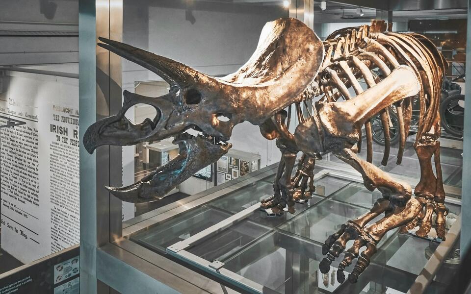 What Dinosaurs Mean to Us Now: From Curiosity to Cultural Icon - NewsBreak