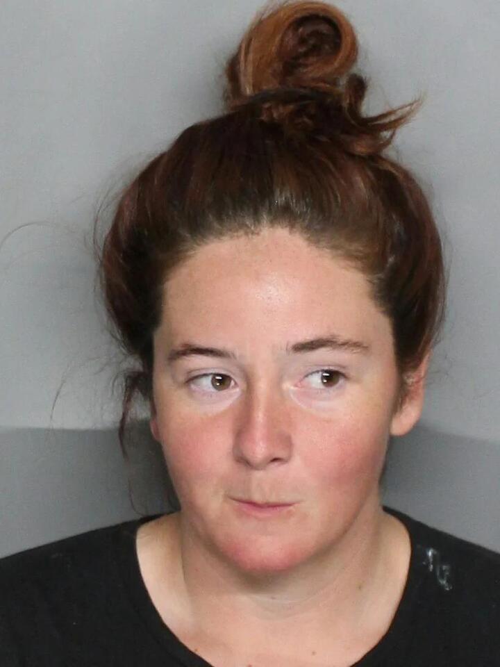 FHP: Woman leads officers on I-75 chase in stolen car; grand theft, DUI ...