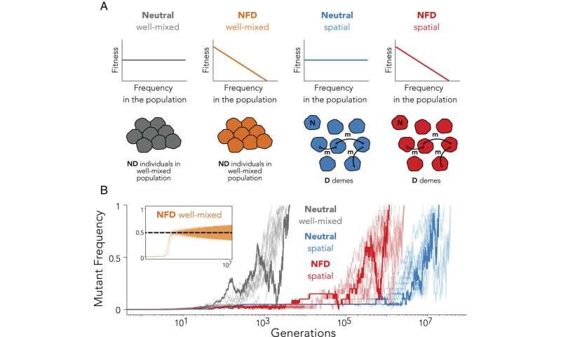 Research challenges long-held ecological belief of how rare species survive