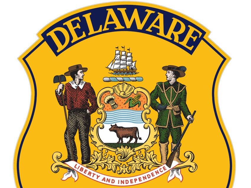 Police identify teen victim in Ellendale killing