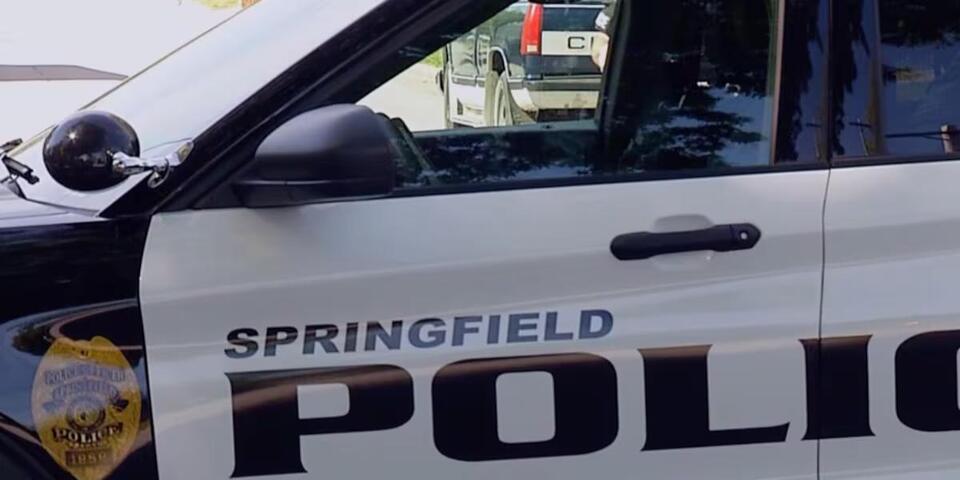 Rogersville, Mo., woman dies after crash in Springfield - NewsBreak