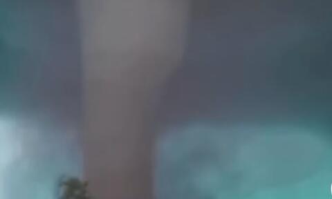 original article img