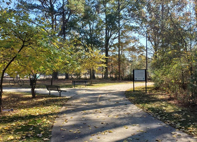 Commissioners to talk tree preservation at upcoming meetings