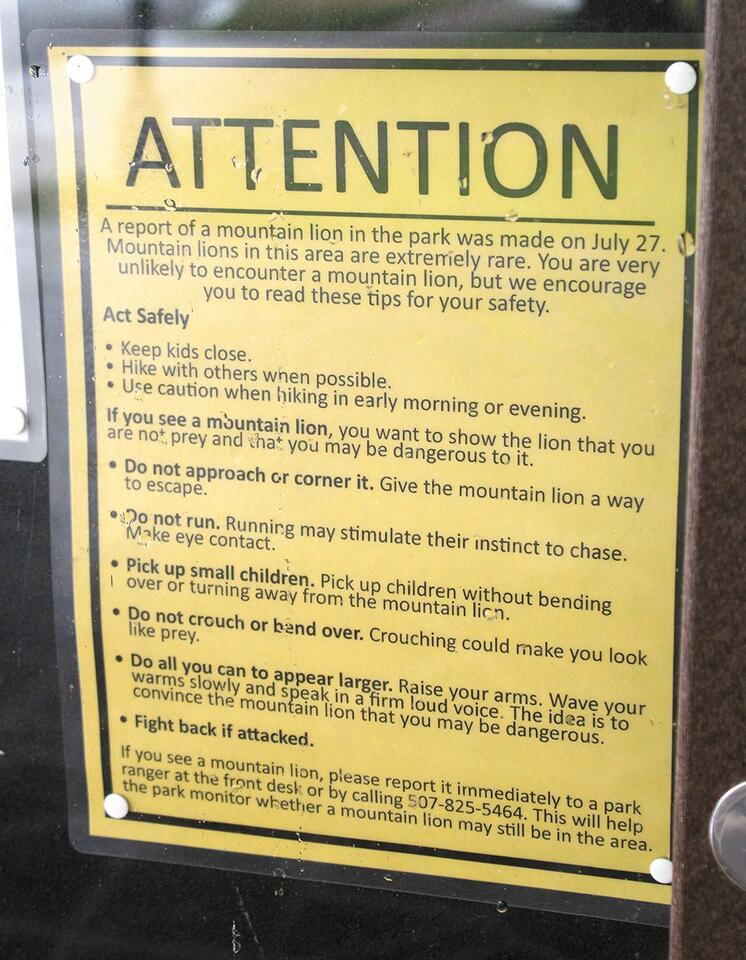 Mountain lion sighting reported at Monument