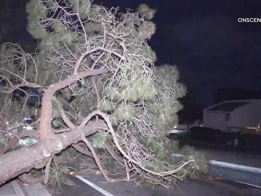 Cold, Gusty Winter Storm Causes Power Outages, Closes Mountain Schools