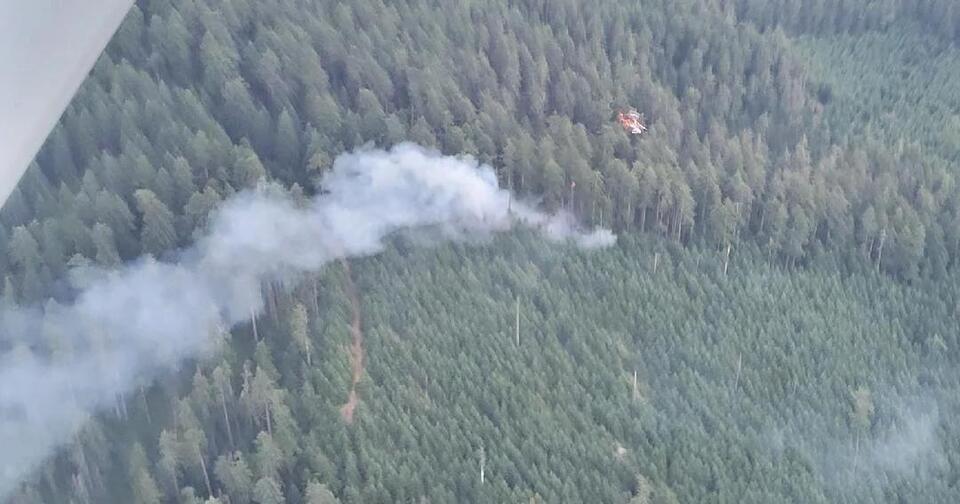 Douglas County firefighters respond to numerous lightning-caused fires ...
