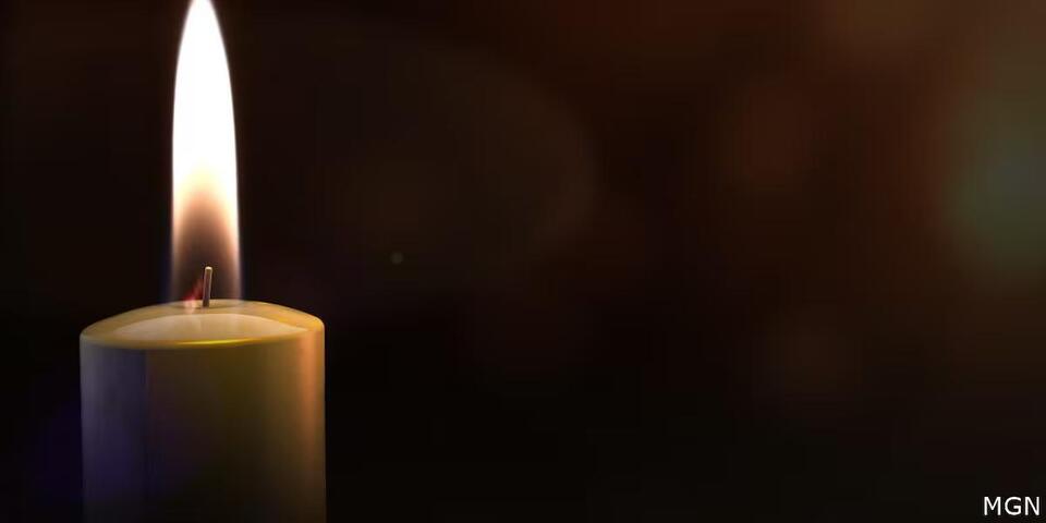 Kenneth Shuler, founder of South Carolina cosmetology schools, dies ...