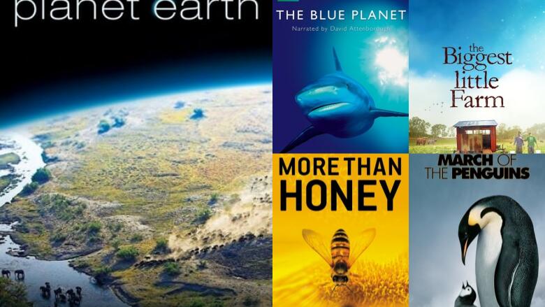19 Moving Nature Documentaries That Will Leave You in Awe of the Planet ...