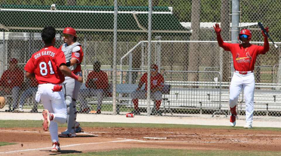 Cardinals Promote Dos Santos, Make a Dozen Other Moves
