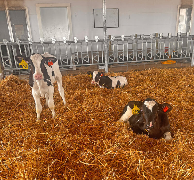 Welcome to Dairy Night on the Farm - NewsBreak