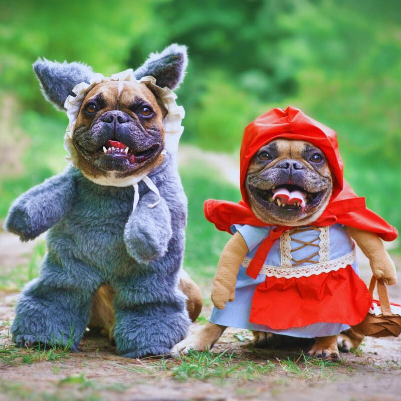 Halloween craft events at Berkeley Public Library - NewsBreak