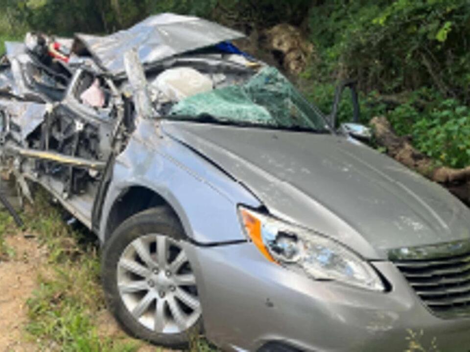 Saranac passenger killed, another critically injured in car crash