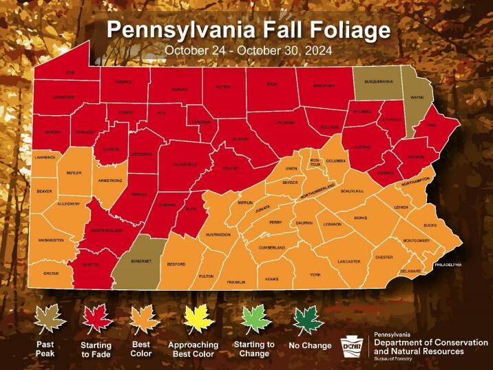 Much of Southwestern PA at 'best color' for leaf peeping