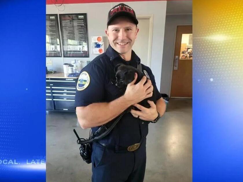 Firefighters help puppy stuck in can