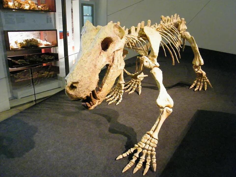 10 Fascinating Facts About the Extinct Creatures That Predated ...