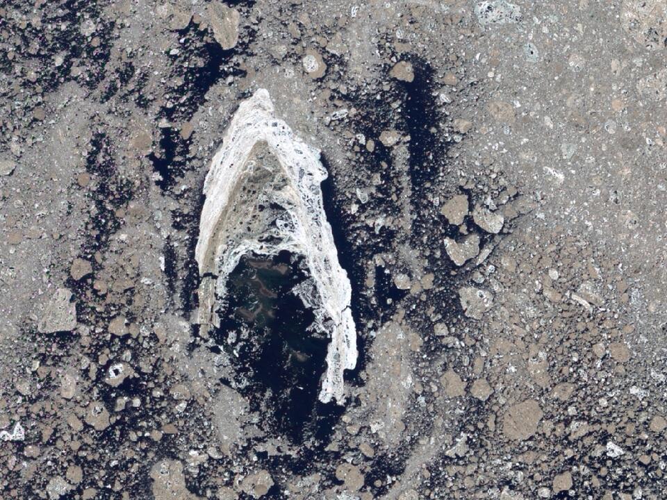 Earth from space Iconic 'Star Trek' symbol shines brightly in sea of