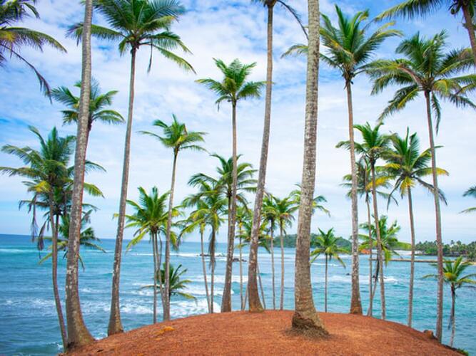 4Day Weather Forecast For Hazleton