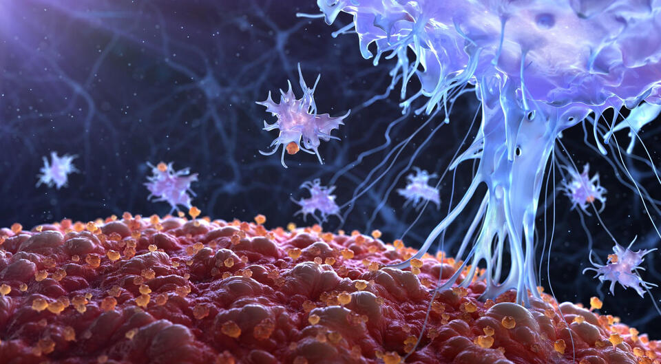 Scientists Discover a Hidden Trigger That Keeps Inflammation Alive ...