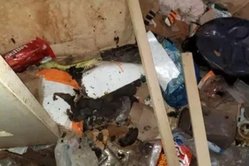 Kids 'abandoned for years' found living in garbage and feces as mom is ...