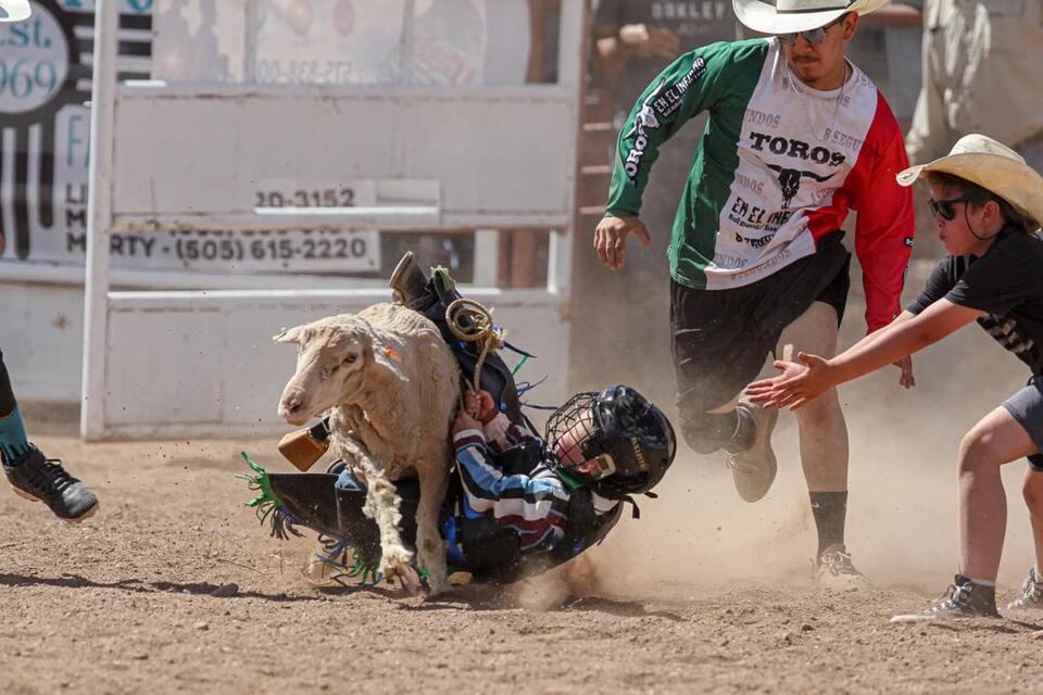 PHOTO GALLERY: Mutton Bustin'