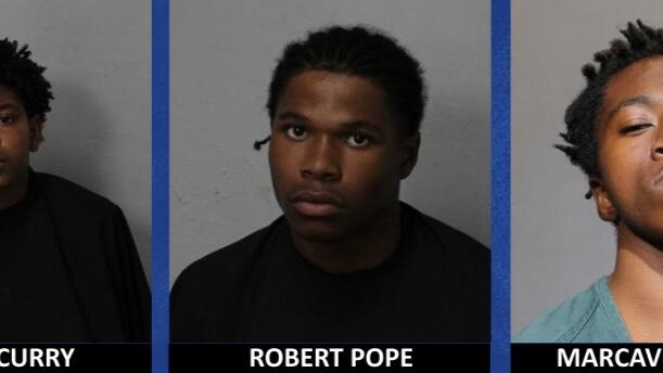 Repeat Juvenile Offenders Are Terrorizing Florida Neighborhoods: The ...