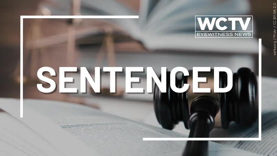 Tallahassee man sentenced for possessing child sexual abuse materials ...