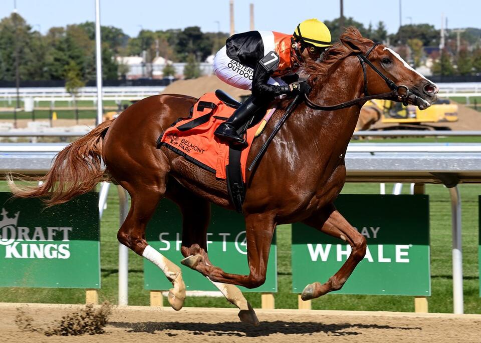 Hullabaloo Ray Ray: The Making of a 'TDN Rising Star, Presented by Hagyard'