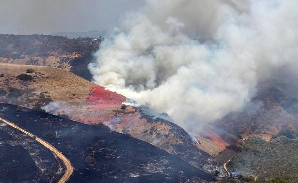 A San Diego Trail Group Is Organizing Recovery Help for Fire-Scarred ...