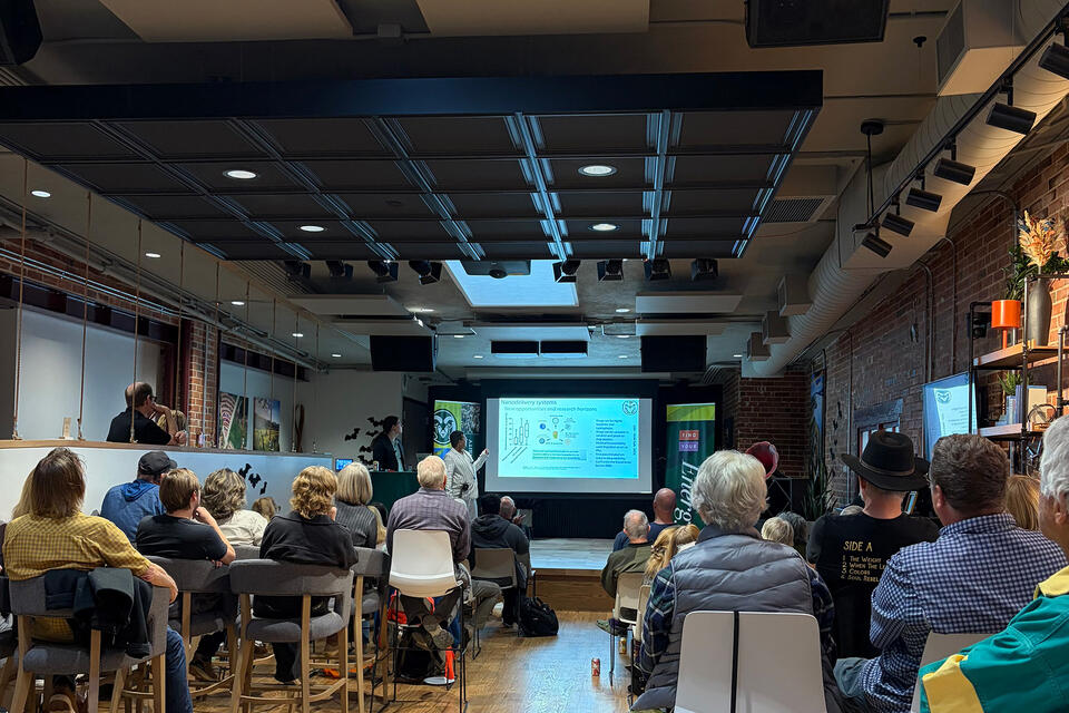 Ram Talks community conversations with CSU faculty open to public