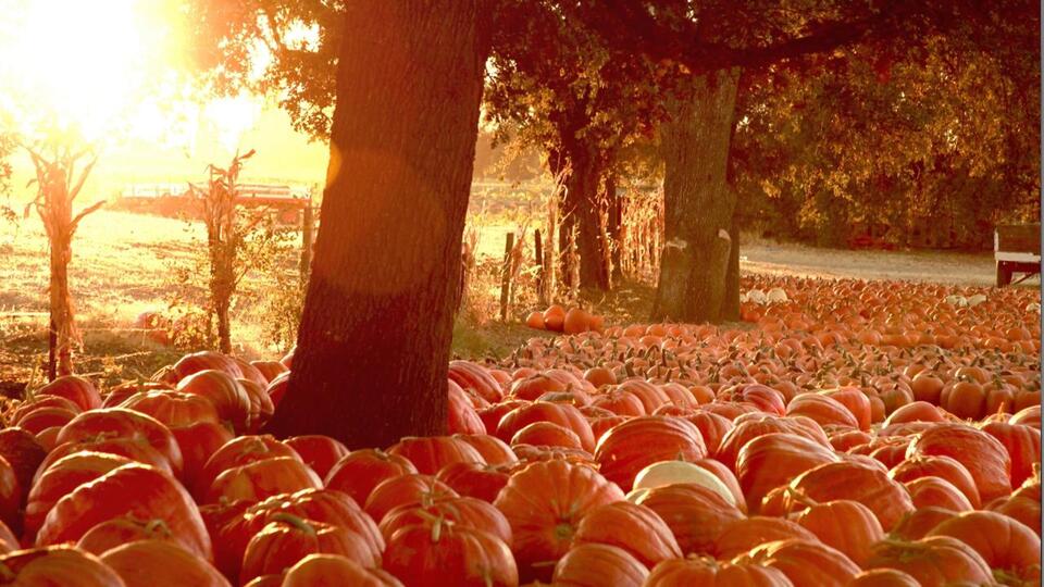 A MOSTLY Dry End to October for NEO