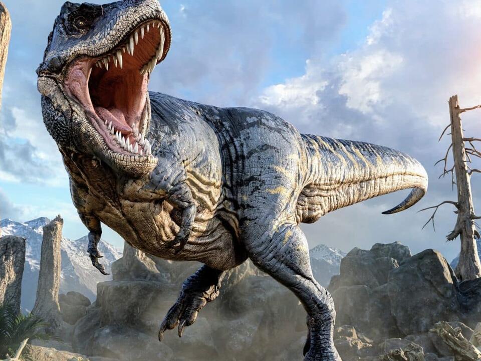 T. rex was about 70 percent bigger than we thought