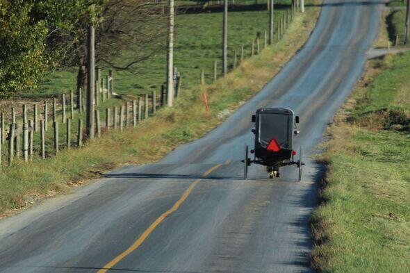 Girl, 8, dies after her Amish horse-drawn carriage is struck by SUV in ...