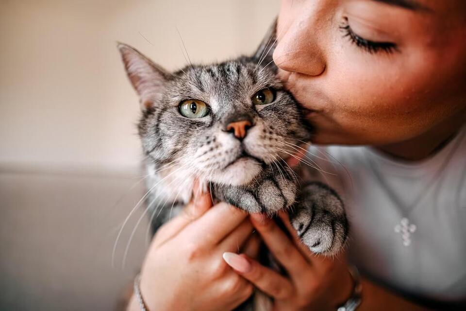 Do Cats Understand Kisses and Hugs?