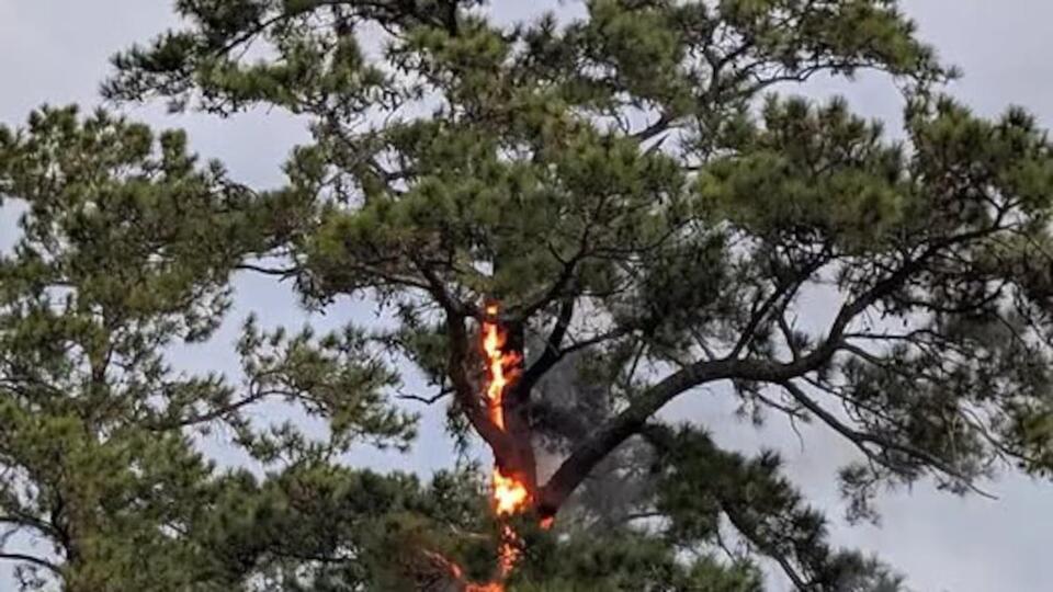 St. Tammany Parish thunderstorms lead to power outages, set tree on ...