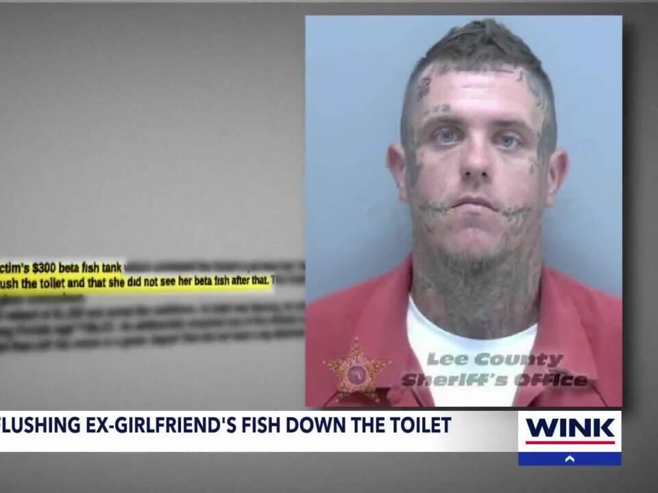 What we know about man accused of flushing exgirlfriend’s fish down