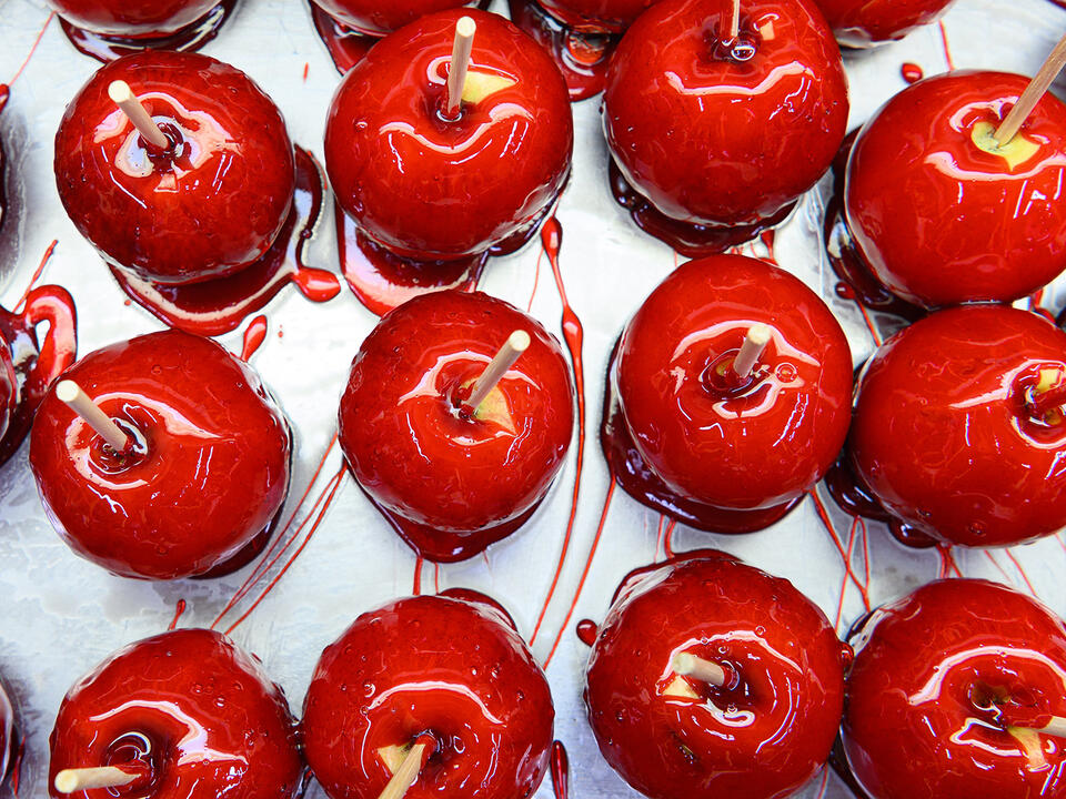 State Fair of Texas What to Know 2024