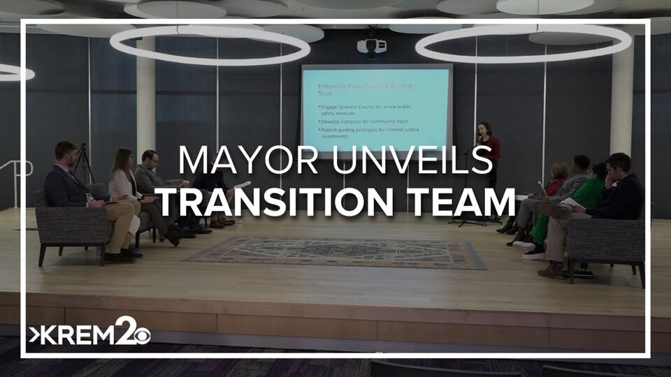Mayor Brown's transition teams lay out priorities for new ...