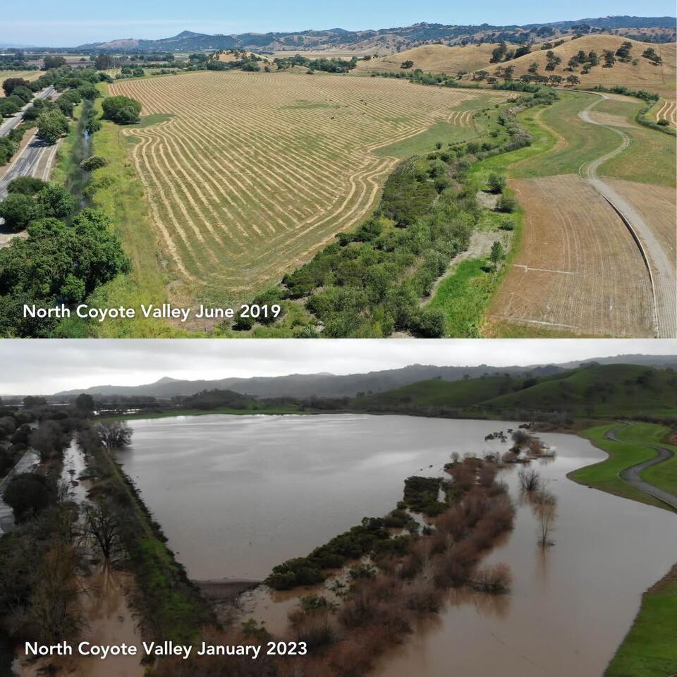 Open space wetlands help reduce San José flood risk - NewsBreak