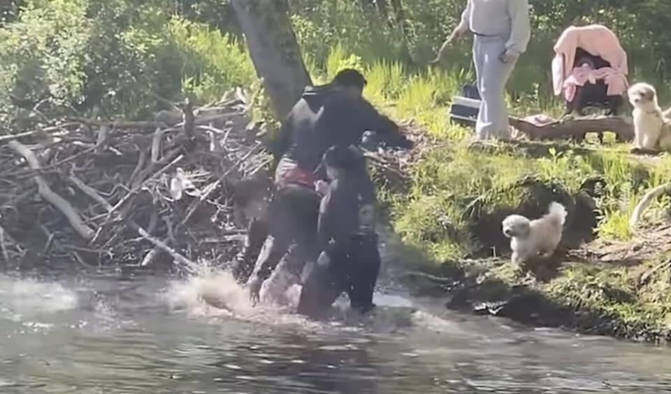 Watch the Shocking Moment a Rabid Beaver Attacked a New Jersey Family ...