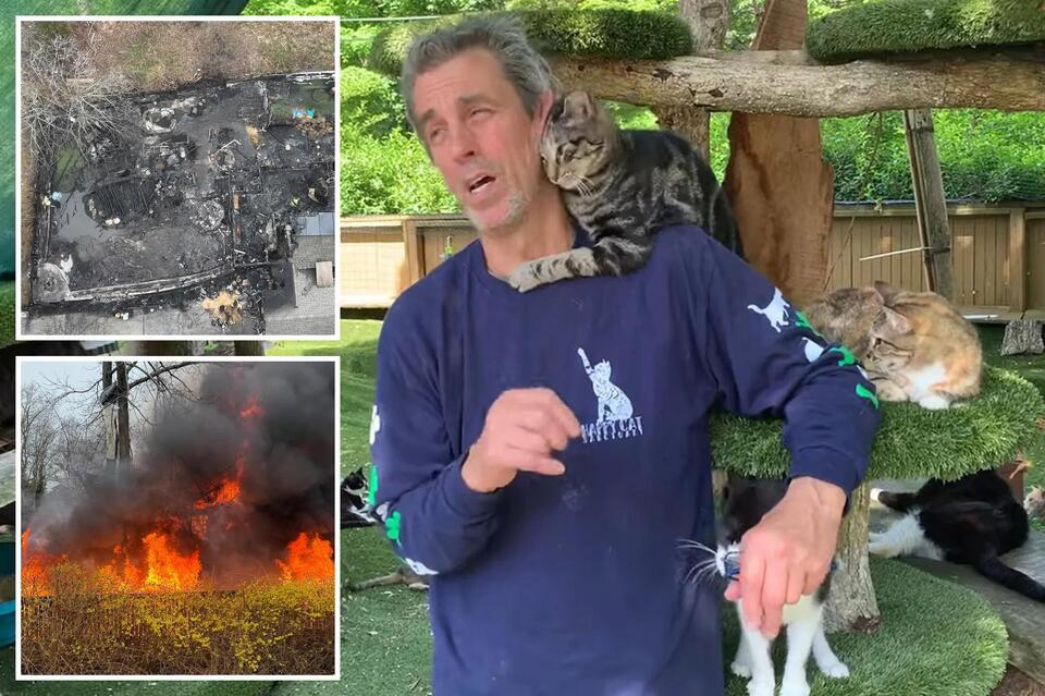 Animal sanctuary owner, at least 100 cats killed in suspicious Long ...