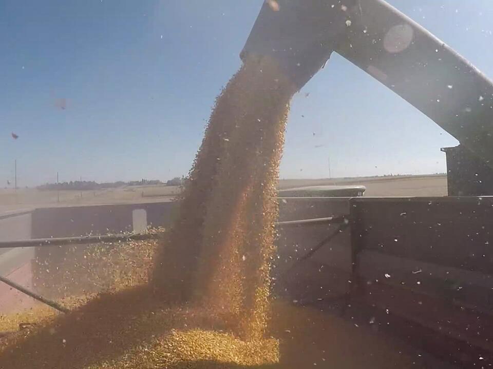 What's that smell in the Quad Cities today?