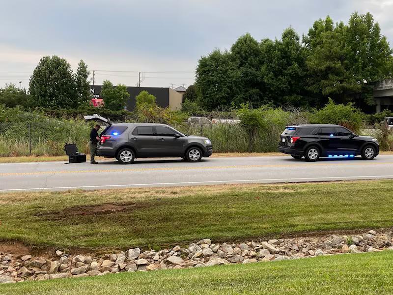 Coroner identifies driver in deadly crash near I-385 in Greenville Co.