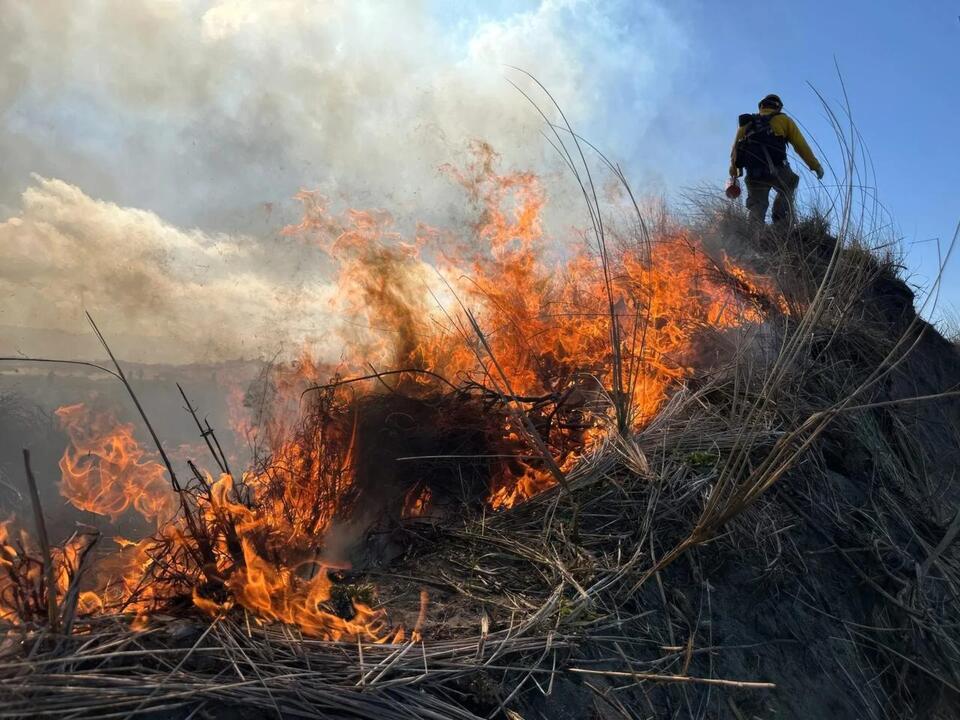 Prescribed burns planned at southern Mendocino County’s Cooley Ranch ...