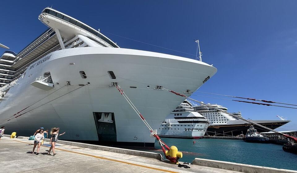 Norovirus on a Cruise: What the Headlines Don’t Tell You
