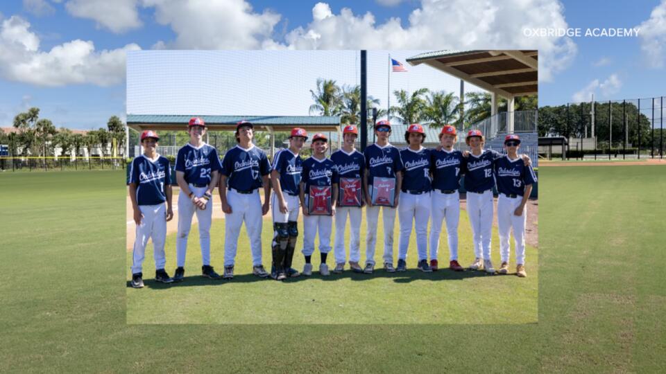 Thunderwolves get new ballpark as Oxbridge Academy is set to unveil its ...