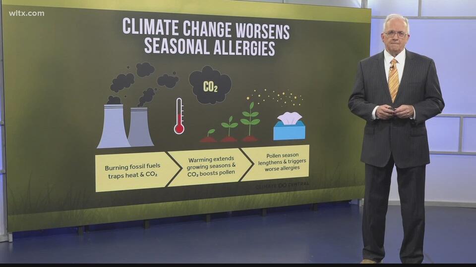 Is pollen season getting worse to you? Here's what scientists say is to ...