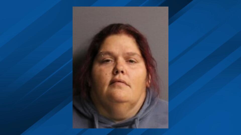 Amsterdam woman faces felony charges in $6,442 SNAP fraud scheme ...